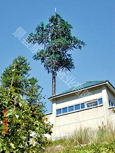 仿生樹通信塔