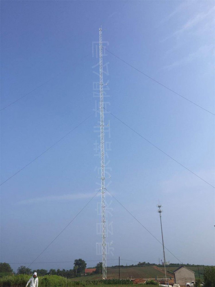遼寧莊河市核電項(xiàng)目氣象鐵塔及10米風(fēng)桿建設(shè)項(xiàng)目